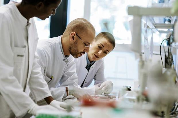 Two scientists sitting together focusing in a lab